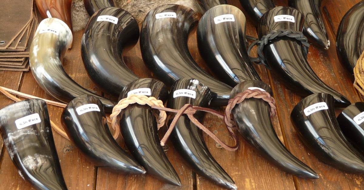 Black and shiny drinking horns displayed on a table.