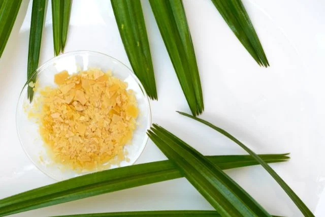 Organc carnauba wax in a bowl.