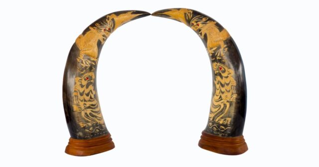 Intricately carved animal horns.