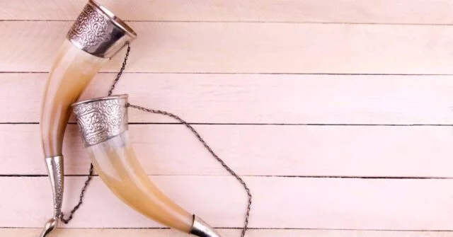 Two curved drinking horns in a white wood background.