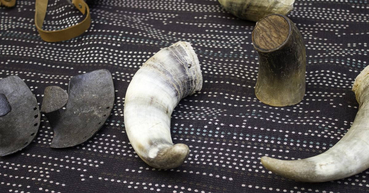 Some raw animal horns for creating drinking horn.