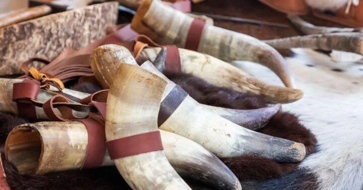 Bunch for viking drinking horns used for rituals.